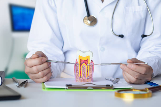 Best Emergency Denture Repair in Echelon, NJ
